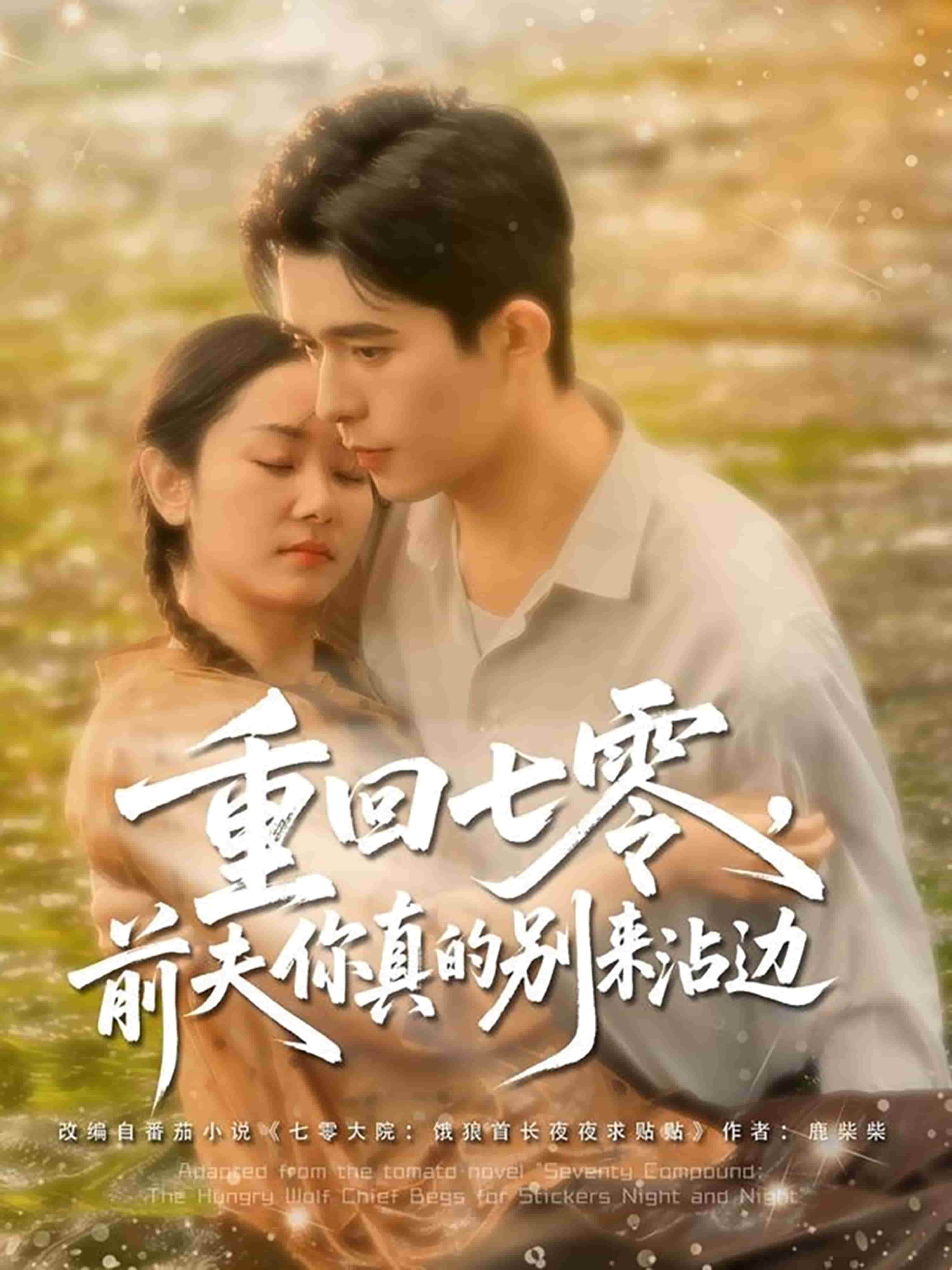 重回七零前夫你真的别来沾边