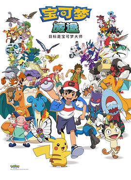 宝可梦:目标是宝可梦大师
