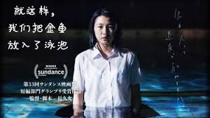 就这样,我们把金鱼放入了泳池