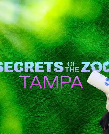 动物园秘辛:坦帕湾第四季